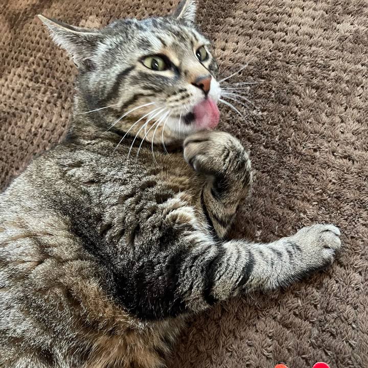 A31db873 52e1 4504 a9c0 0325c44945f4 1620122847945