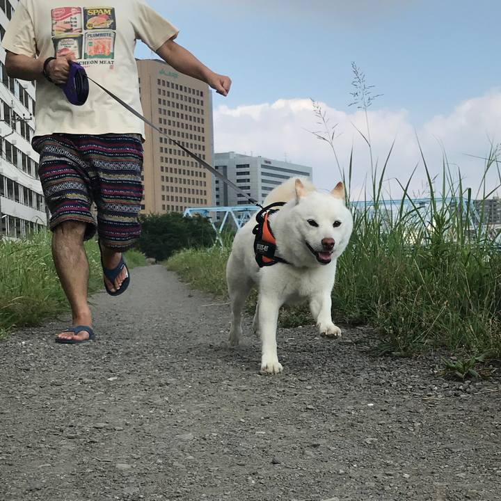 A31dd57e ef3a 4978 b1dd 3407a871dbef 1531609101473