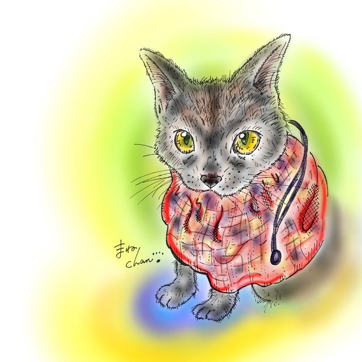 A31de594 c535 4b61 a98b 14080ad54afc 1582813887404