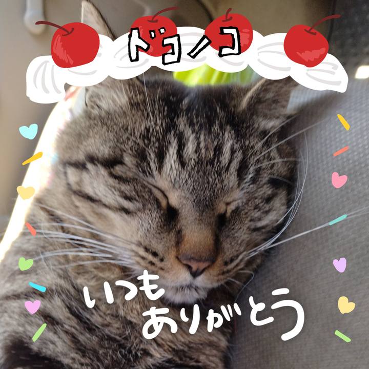 A31de9cf 80f6 4294 ac9a ad4c5a1916ee 1685931729401