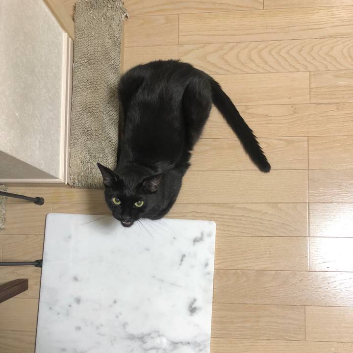 A31e6179 34b4 43bd acde a5a96356676b 1600442261220