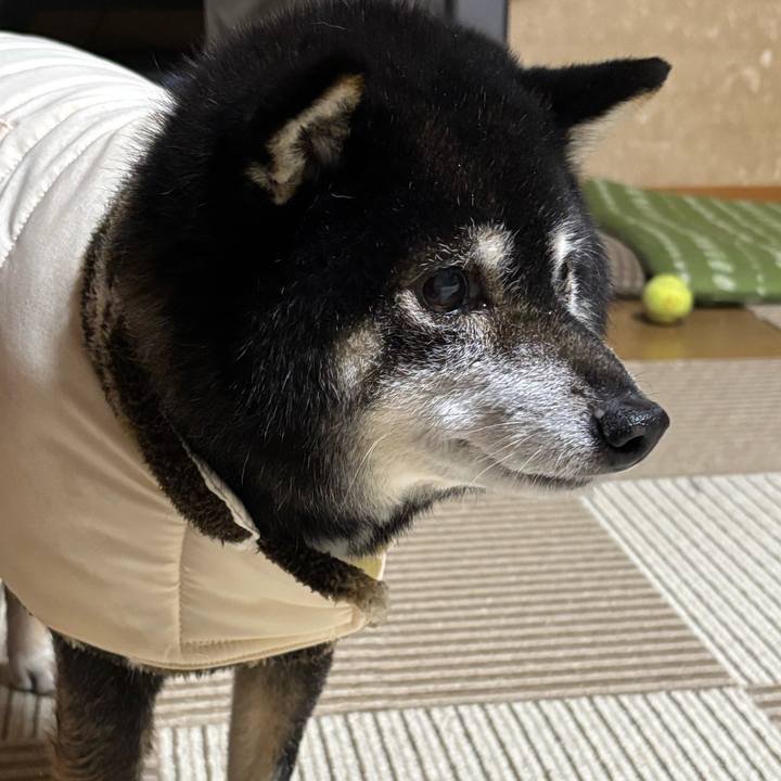 A31e695e 0f0b 43b2 9d5a 2a26736fd3c0 1763613425267