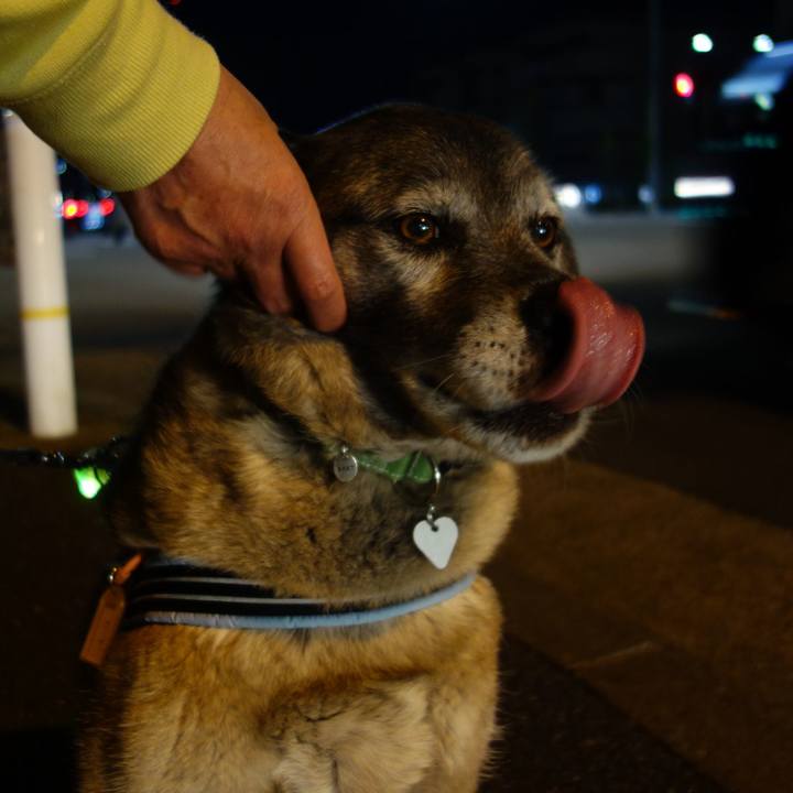 A31e859c 0bae 494c 9b97 12ef14cb9545 1525959683690