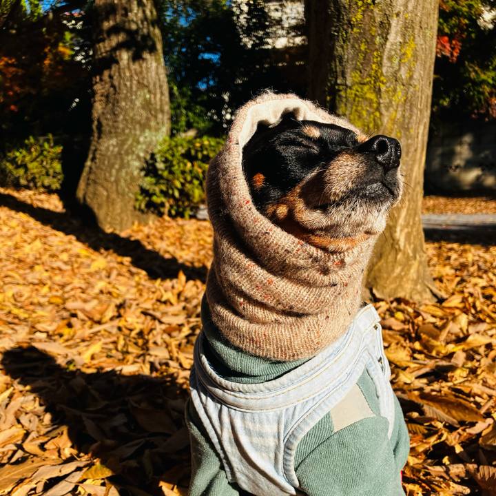 A31e9363 e3e8 4ece b843 957642a34538 1765493285796