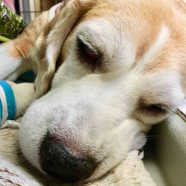 A31eb777 f554 4b1a b8f0 a43190f1b309 1566445395080