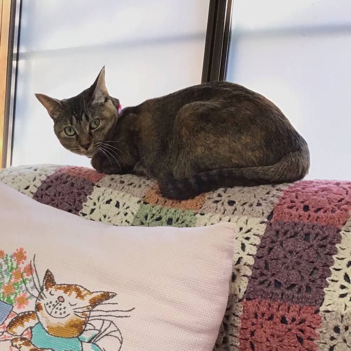 A31ebf33 d5e7 444c 9d7e 67531ffde2ea 1606793557972