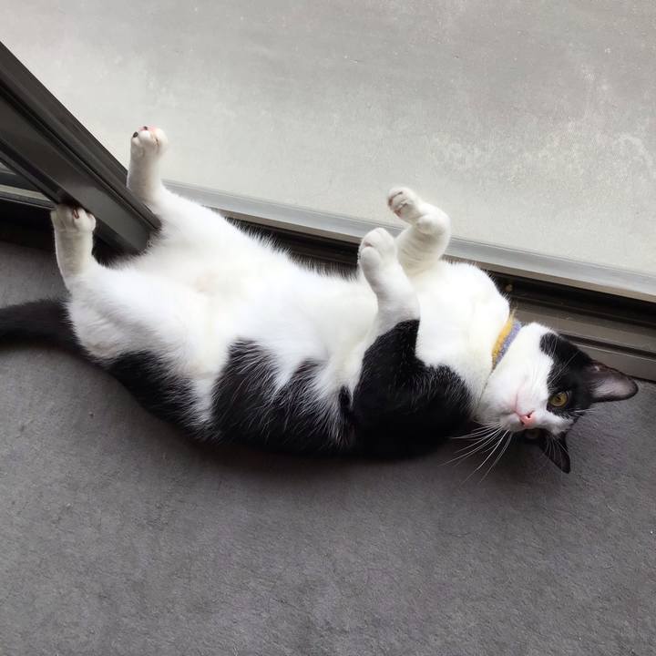 A31ed1f4 6aa4 459d 9494 806b300f3a30 1653555276104