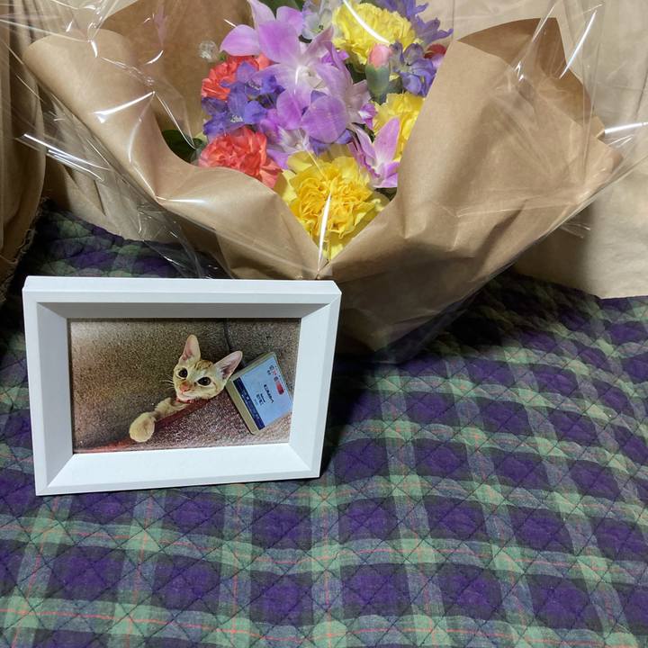 A31f13b3 63e7 43f8 b549 6ad5b4f5c8b1 1616123821512