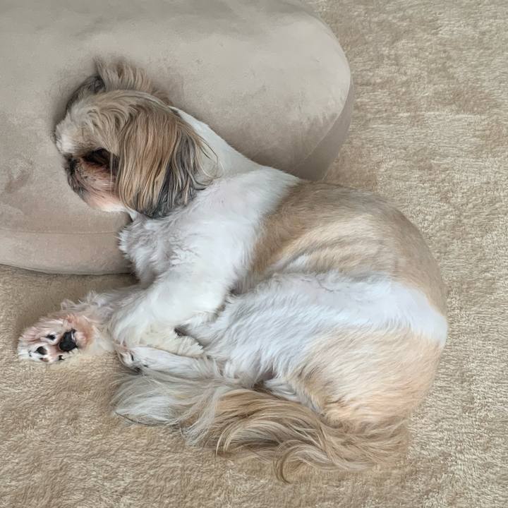 A31f248c ec4b 482b 94d1 e6bf5e9b7d10 1661061436282