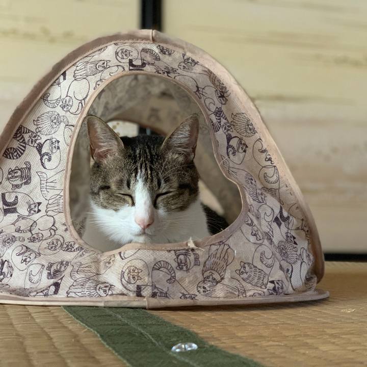 A31f2fbc b57e 4729 a4f6 9eae3d5658c7 1568801223909