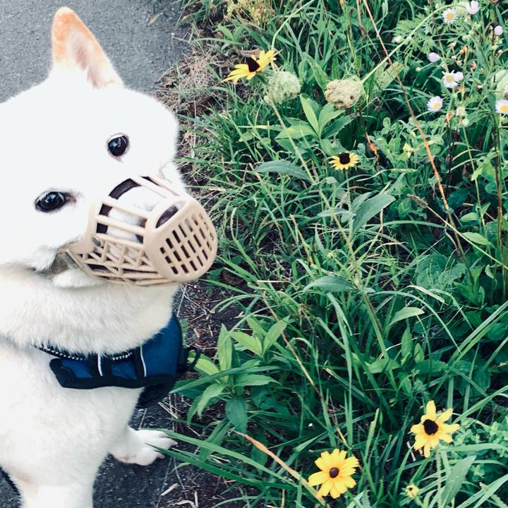 A31f9ce7 63e5 473a b16d edf881c2cfe4 1630445392842