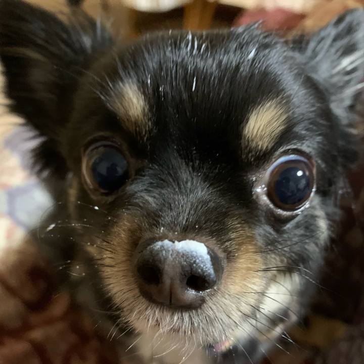 A31fe810 4832 411a 9603 2ba5f07cc8df 1643494204350