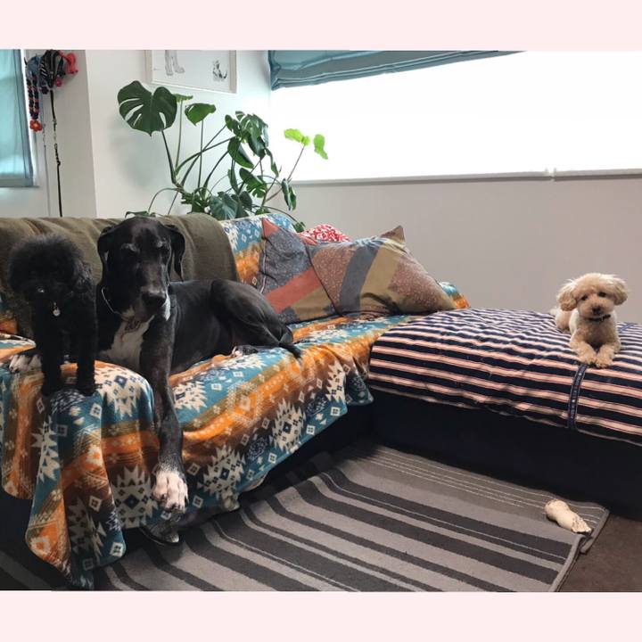 A31ff145 e44b 4a52 864e 4c866f145c1a 1540507625629