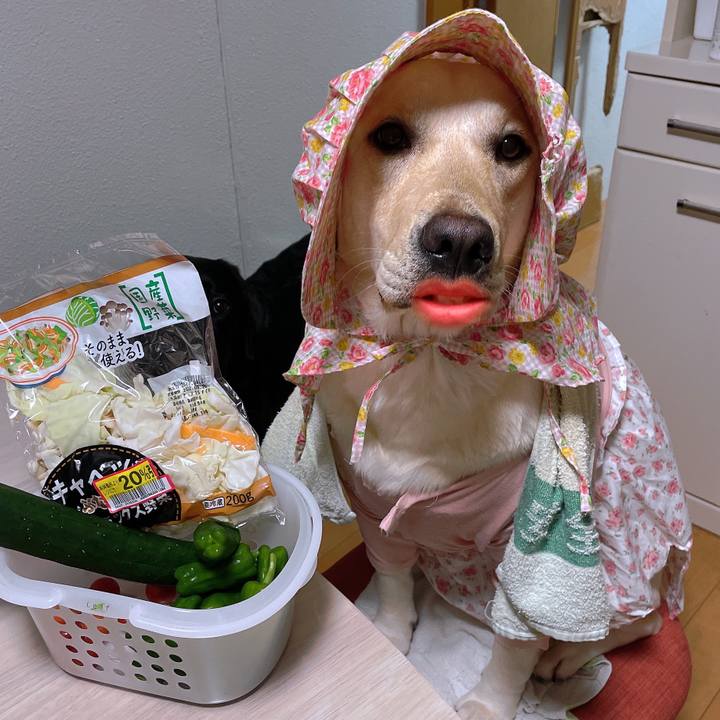 A31ff58f 585c 45f5 aa88 db5fb62a4995 1656156334195