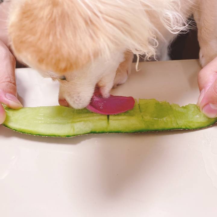 A3200f61 5d97 4377 952e 42674929dc82 1626087516886