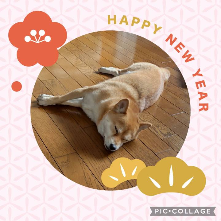 A32011d2 5cf4 4443 866c 6ac4016d1799 1672545922995