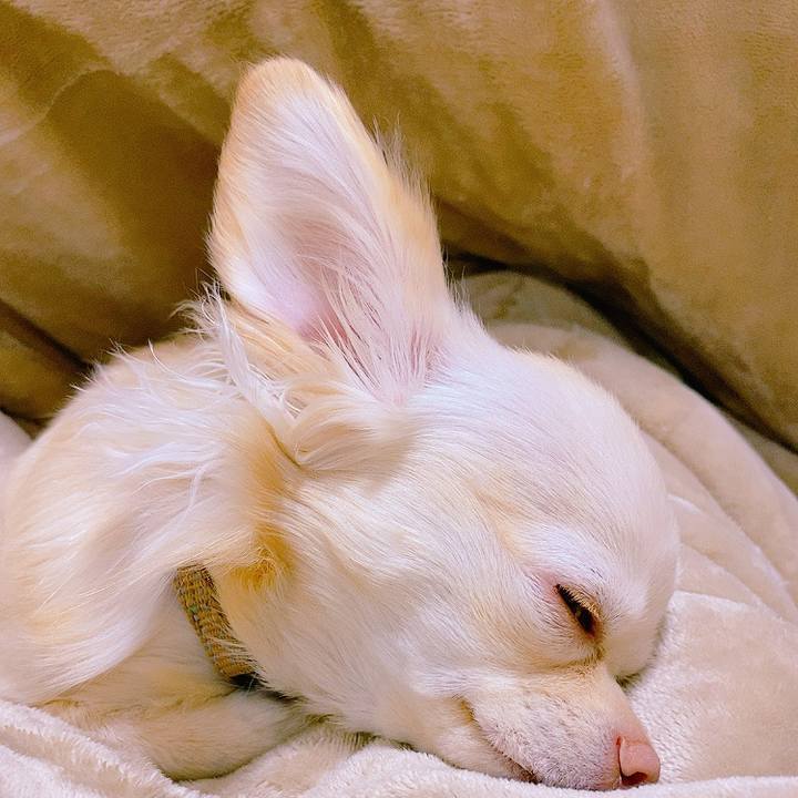 A320364a ce46 4505 a6b8 d235ec39b074 1613100119310