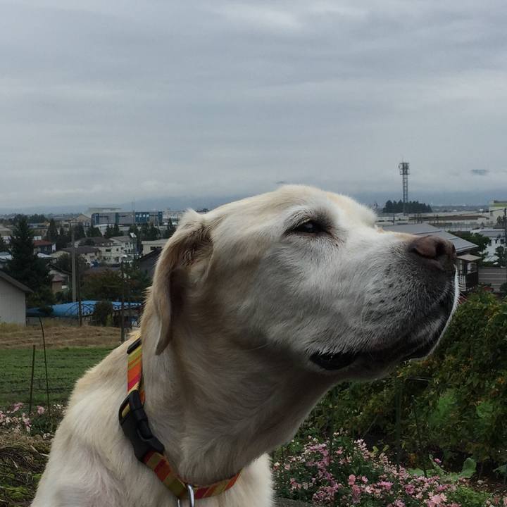 A3207327 280a 46a4 b348 470bc33798e0 1508905357497