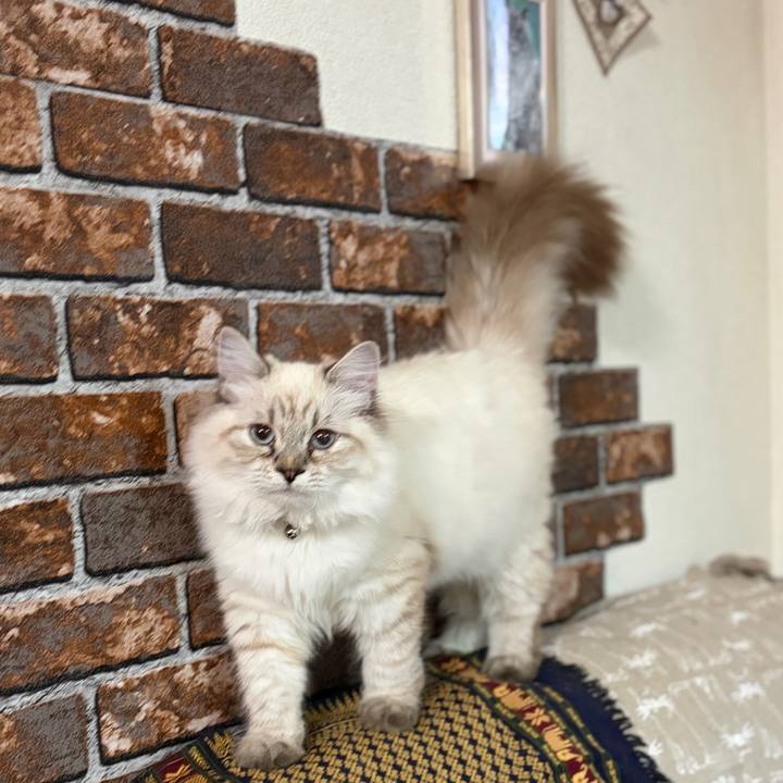 A320a5b3 1890 4748 9c74 7fe0b4ee6c5b 1773581168718