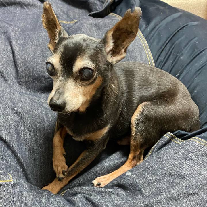 A320acfd 1e8c 4ed2 8e6f 1c71eb63982f 1598384497188