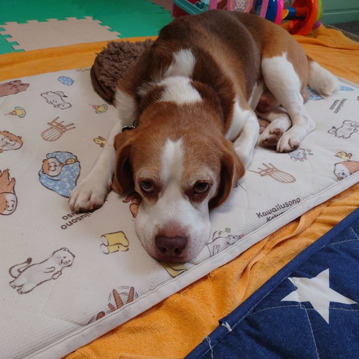 A320b8fa a713 4a96 8283 4de5a5398355 1727419246852