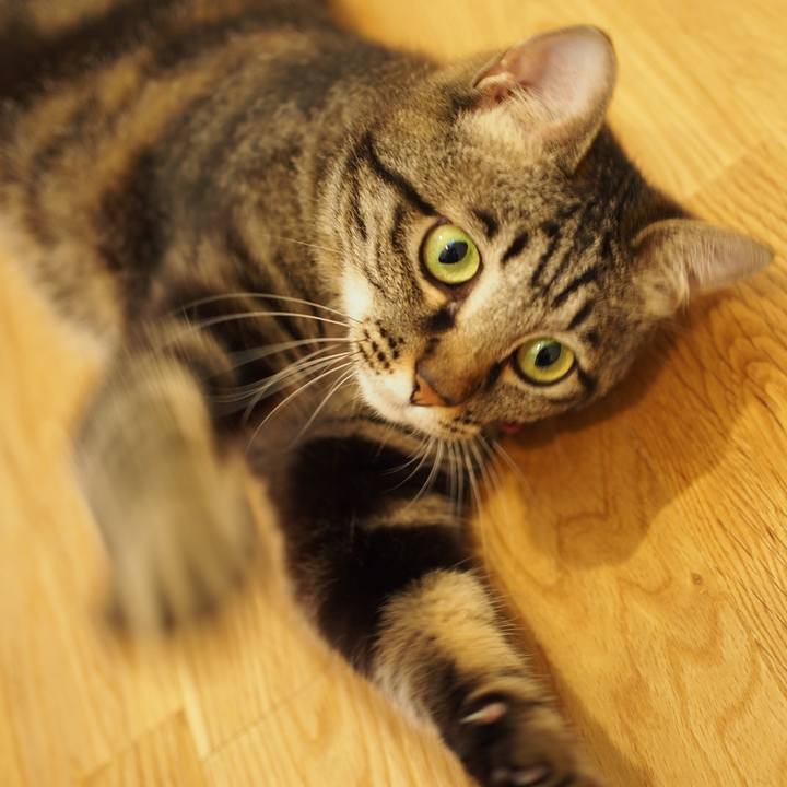 A320dc47 92b6 417e bfb1 ab69266367f4 1594819498234