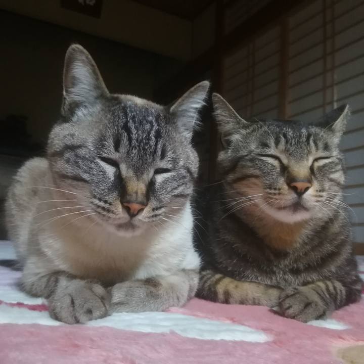 A32145c8 ba4e 49c2 a9cf 664241dd0e17 1526900815034