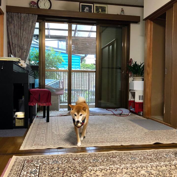 A32150f6 dcae 4009 a8d1 48c09a46cbf0 1537003998283