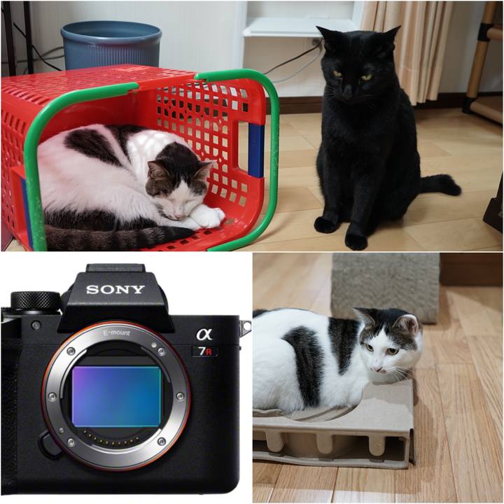 A321591a 1f28 461f 96cf 842196d71419 1563360128670