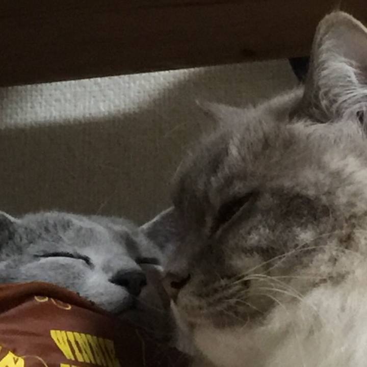 A3215a2a fd1b 472c a5a9 3db20c67bf85 1517310318909