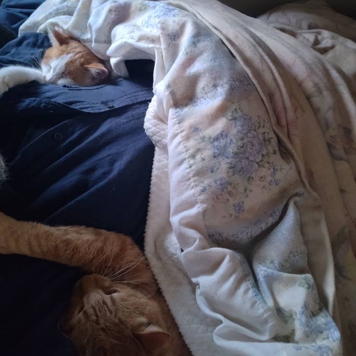 A3216469 9011 4936 b649 bb5be4a1f48d 1762490202828