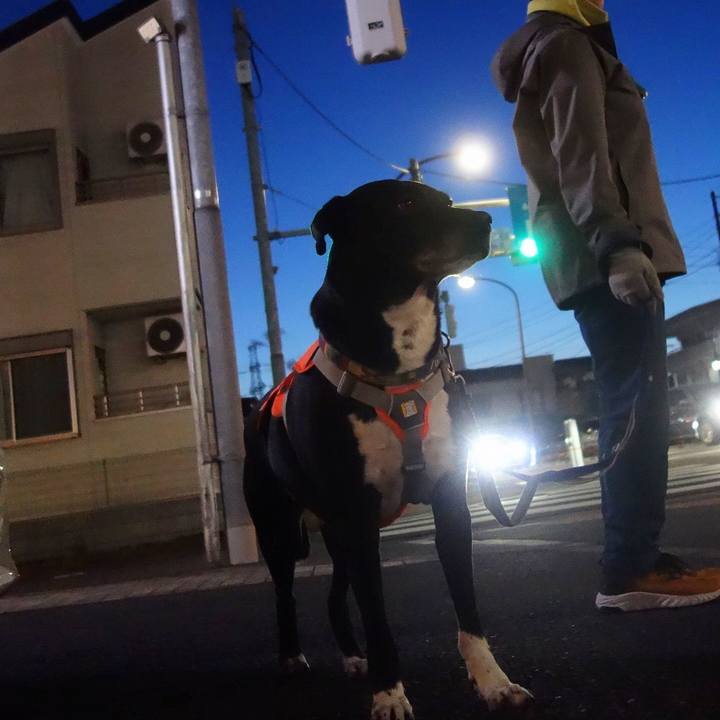 A321737a f061 4879 b99e 52a3bd88e09b 1711016495739