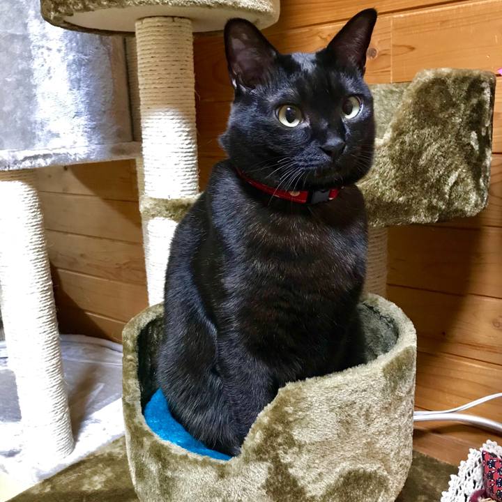 A3217906 0860 434c 8497 dffb9eb32d01 1516628032206