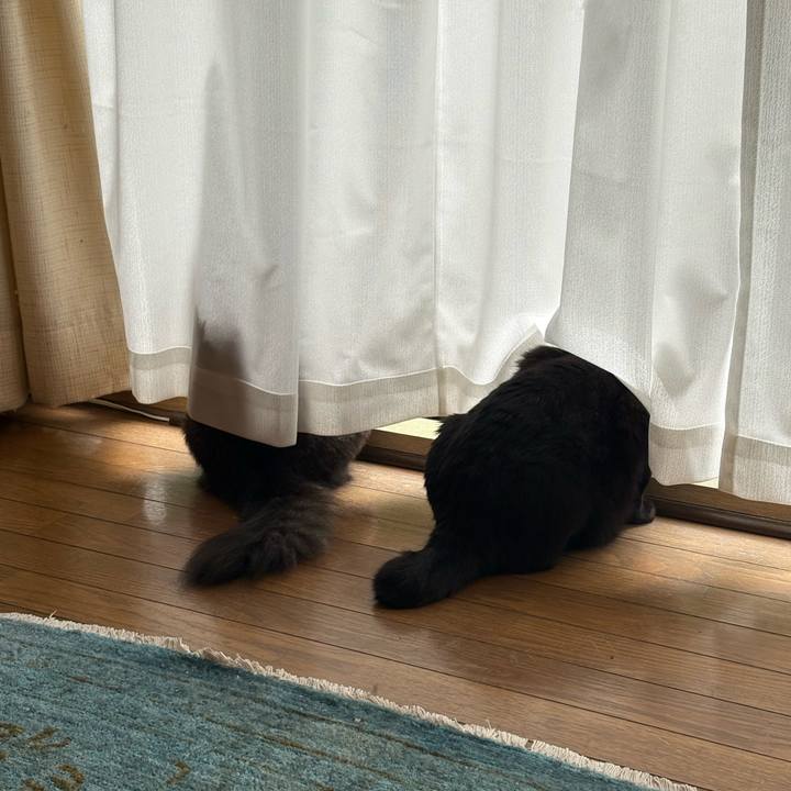 A321c295 6ac3 492d 870b 405ac2eaf04c 1758853448869