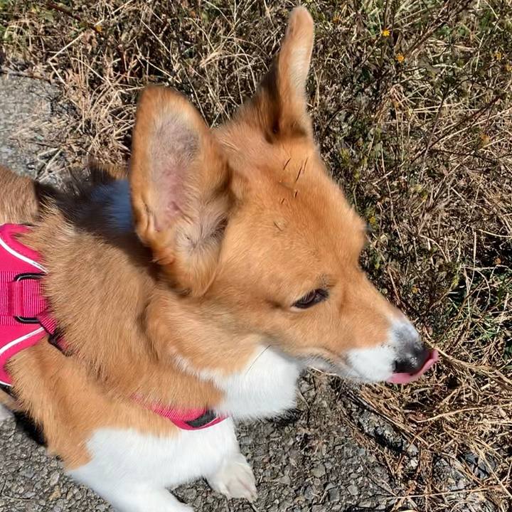 A321e37e eee9 416e 8c34 e9e3873421ba 1638241899337