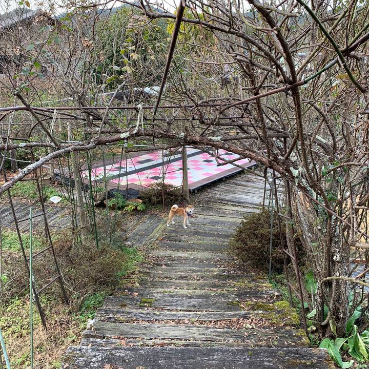 A3225f2f e877 4d6b bd16 4623e59e491d 1577515121283