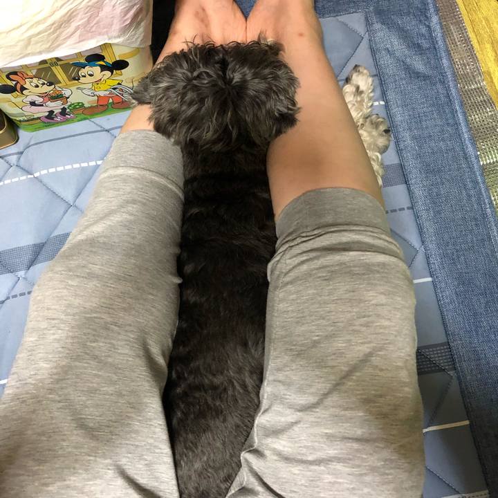 A3227591 95df 4cfd b708 81c033ffbc73 1664547621001