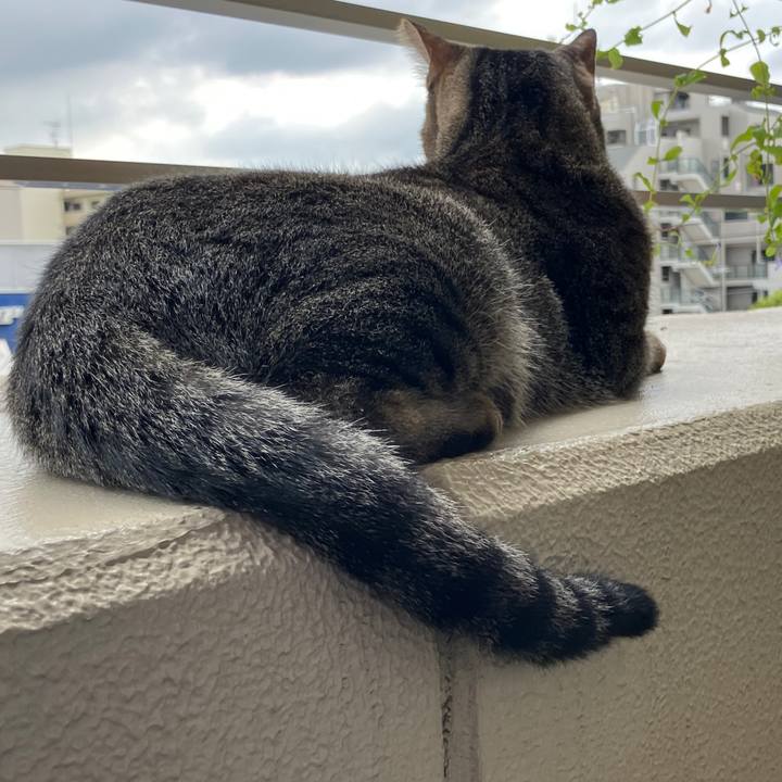 A3227eff c19f 4988 82b9 71e5f1b14403 1759126138033