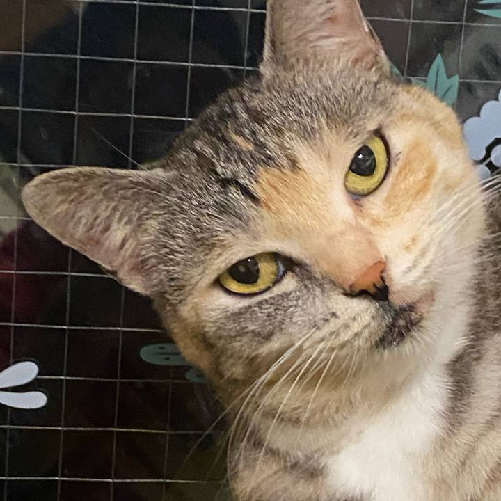 A3229178 88a7 45e0 9049 c50498a2f9c0 1622719681305