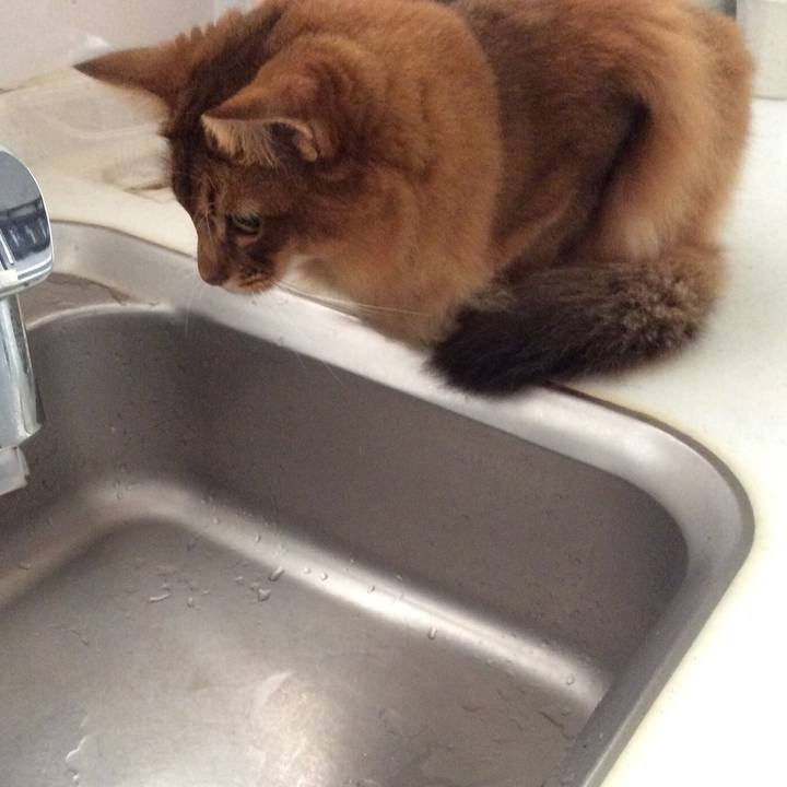 A32293b7 bb0c 493a a48e 4e90bd5dc8a9 1604984884289