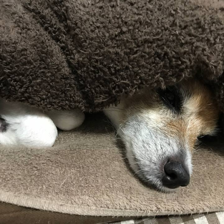 A322965e 50f6 490c 9416 a7d4dee50a4c 1575587207809