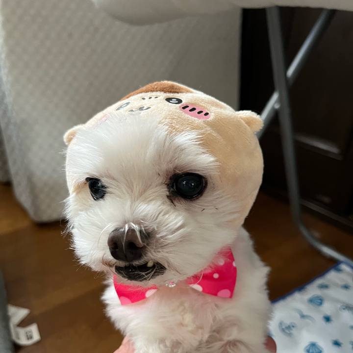 A322a5e3 1b71 4f6b 90d2 beeba23ae981 1720259795170