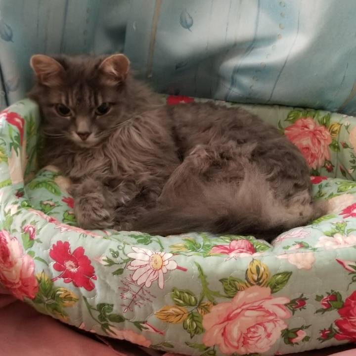 A322ba7b 3461 4501 926b 1ef0c6965d86 1596960182229