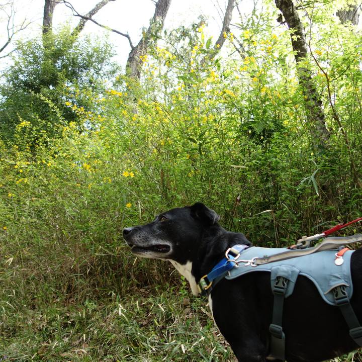 A322e6bd 760d 4b50 a6c0 dfa9c4385f8b 1712539914236