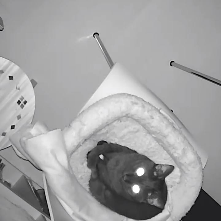 A322e707 90ad 45c2 b236 40f729963292 1521026597385