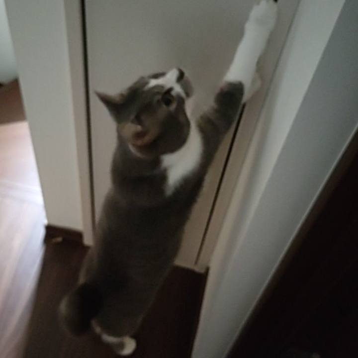 A322f298 7b70 4cf1 a431 8e370369c8ca 1657836519497