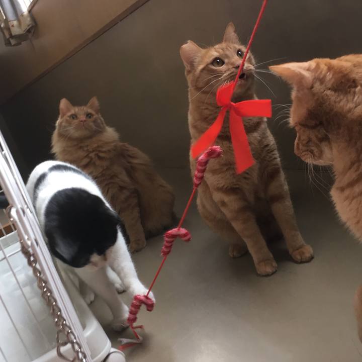 A323061f 3892 49b4 8f17 9520b6ce06d6 1513920028918