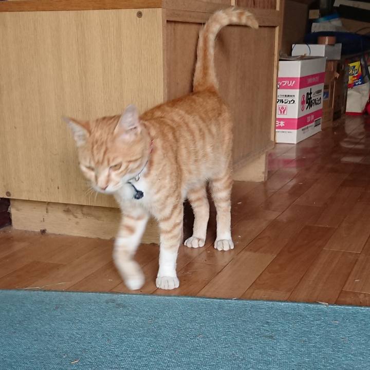 A32311a9 5220 4245 b0b1 7ca90f8c0e80 1561714565207