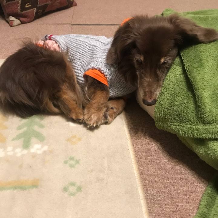 A3237f75 46ac 4dc5 950e fea81cfc9233 1580996882157