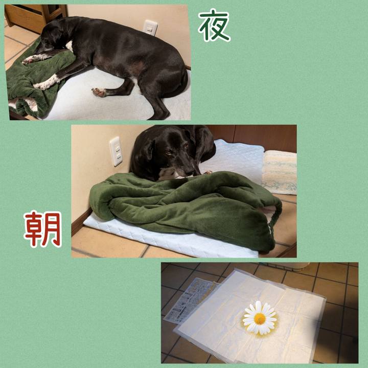 A323b6c4 2a62 467d 87c7 bc013305917c 1760575858645